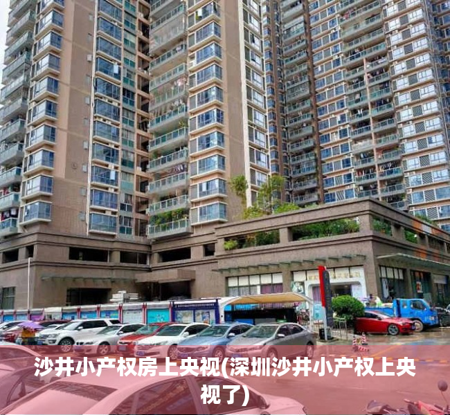 沙井小产权房上央视(深圳沙井小产权上央视了)