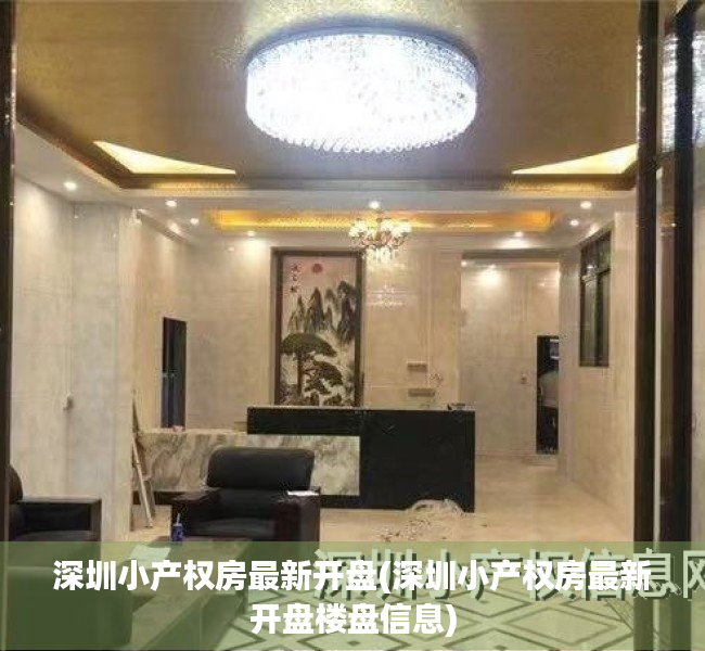 深圳小产权房最新开盘(深圳小产权房最新开盘楼盘信息)