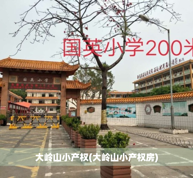 大岭山小产权(大岭山小产权房)