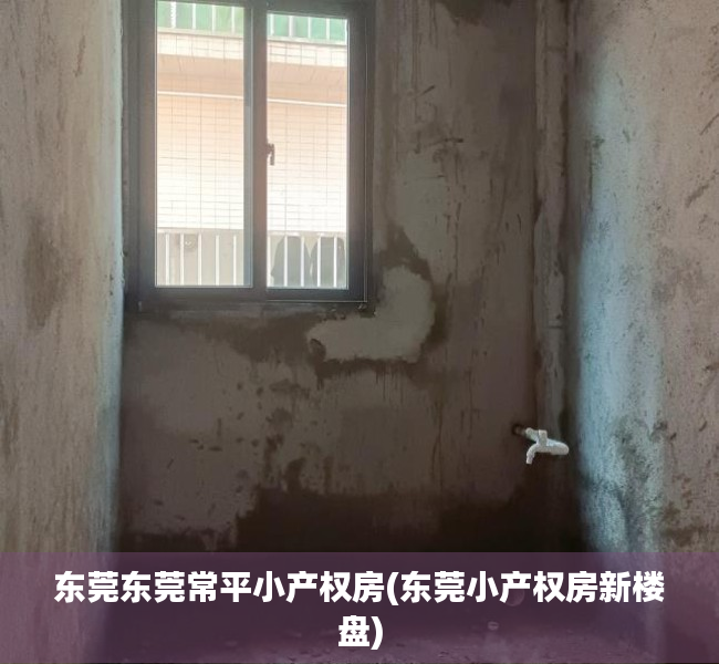 东莞东莞常平小产权房(东莞小产权房新楼盘)