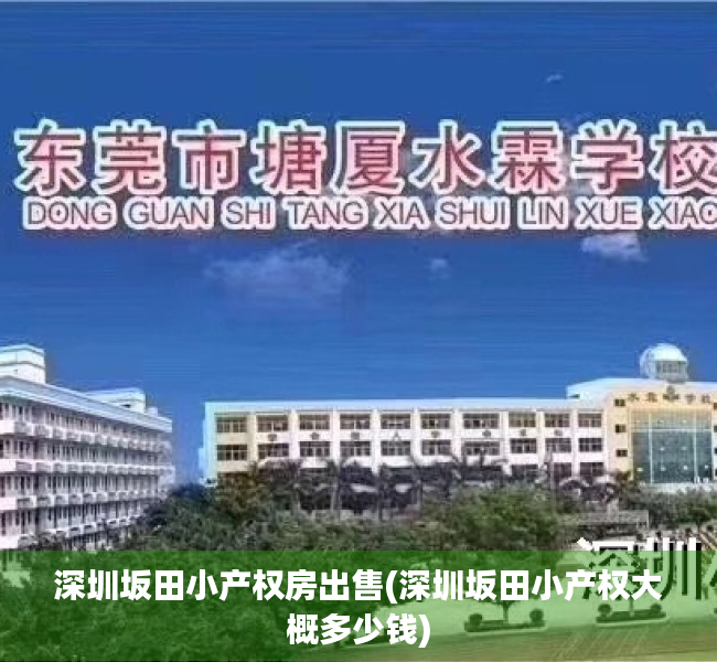 深圳坂田小产权房出售(深圳坂田小产权大概多少钱) 深圳坂田小产权房出售(深圳坂田小产权大概多少钱)