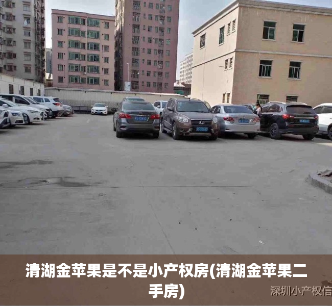 清湖金苹果是不是小产权房(清湖金苹果二手房) 清湖金苹果是不是小产权房(清湖金苹果二手房)
