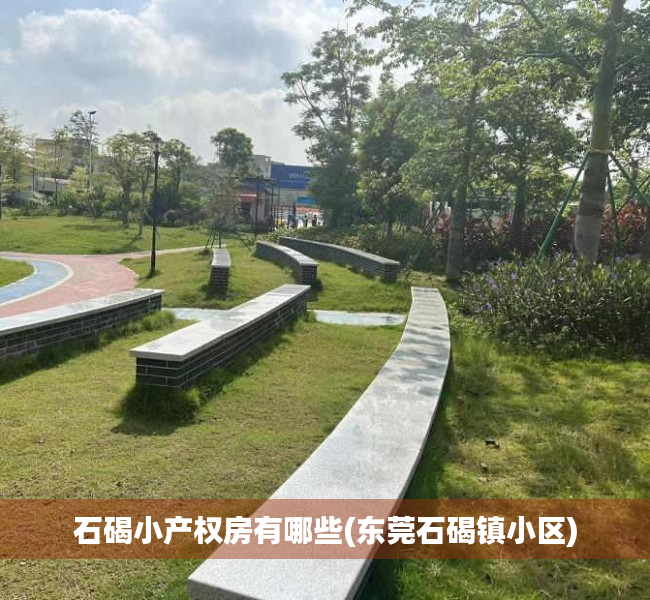 石碣小产权房有哪些(东莞石碣镇小区) 石碣小产权房有哪些(东莞石碣镇小区)