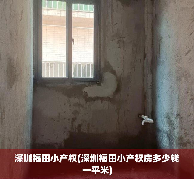 深圳福田小产权(深圳福田小产权房多少钱一平米)