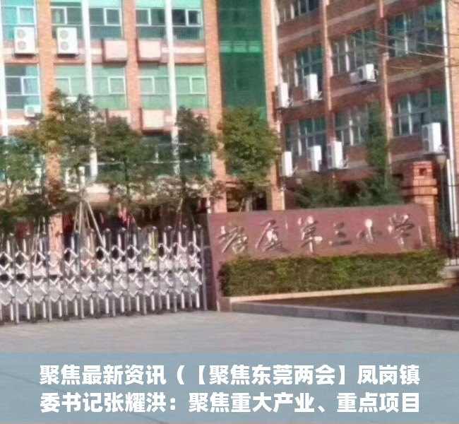 聚焦最新资讯（【聚焦东莞两会】凤岗镇委书记张耀洪：聚焦重大产业、重点项目，塑造高质量发展新优势）
