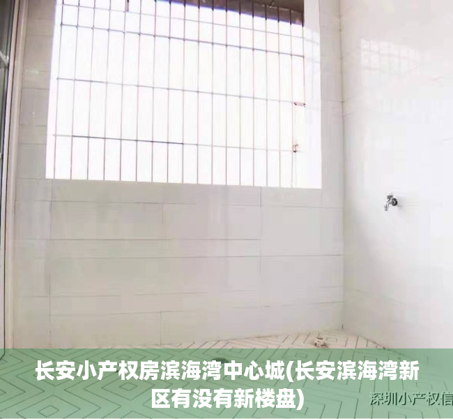 长安小产权房滨海湾中心城(长安滨海湾新区有没有新楼盘)