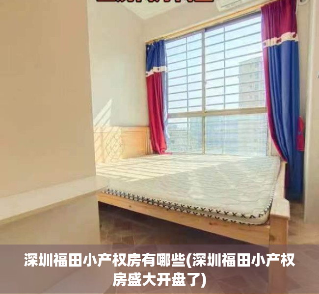 深圳福田小产权房有哪些(深圳福田小产权房盛大开盘了) 深圳福田小产权房有哪些(深圳福田小产权房盛大开盘了)