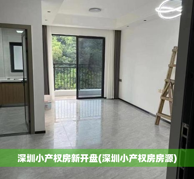 深圳小产权房新开盘(深圳小产权房房源)