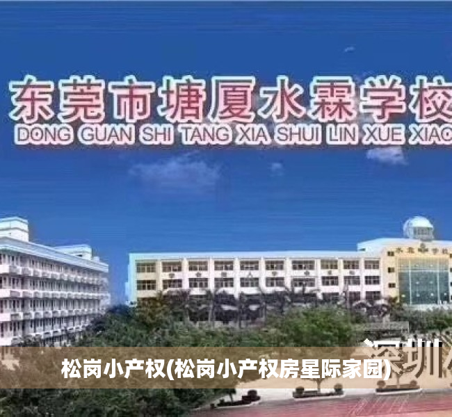 松岗小产权(松岗小产权房星际家园) 松岗小产权(松岗小产权房星际家园)