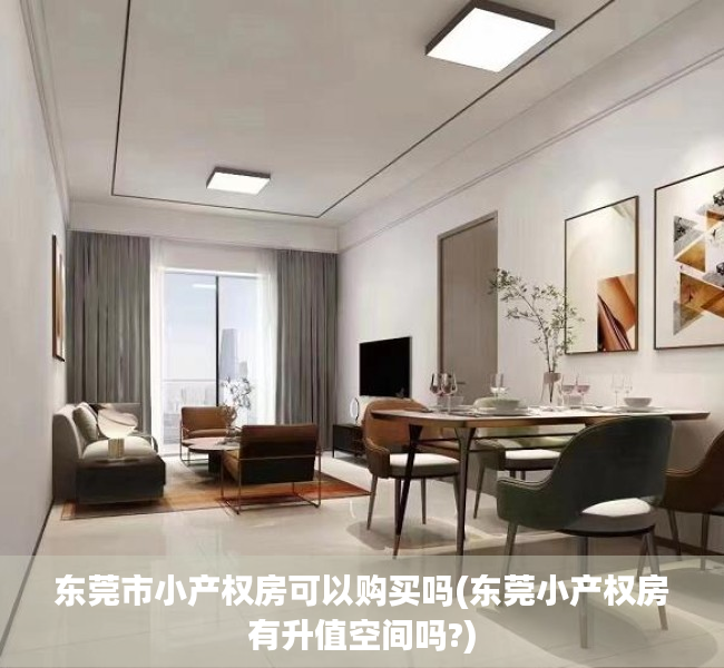 东莞市小产权房可以购买吗(东莞小产权房有升值空间吗?)