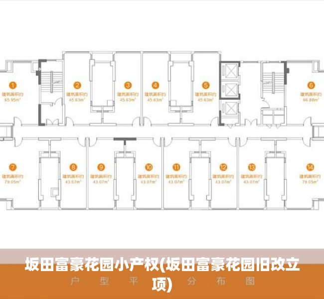 坂田富豪花园小产权(坂田富豪花园旧改立项) 坂田富豪花园小产权(坂田富豪花园旧改立项)