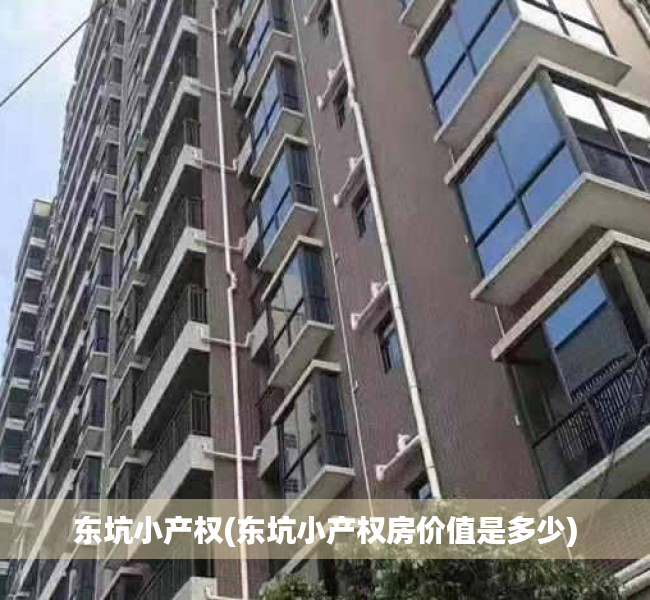 东坑小产权(东坑小产权房价值是多少)