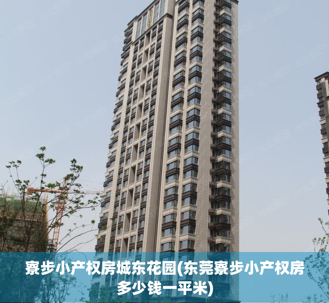 寮步小产权房城东花园(东莞寮步小产权房多少钱一平米) 寮步小产权房城东花园(东莞寮步小产权房多少钱一平米)