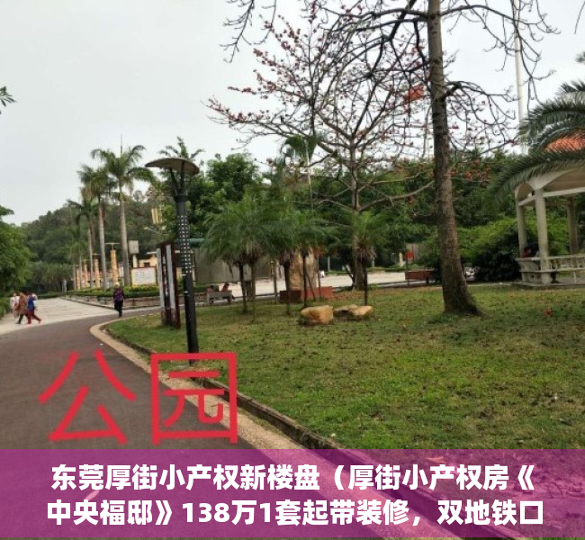 东莞厚街小产权新楼盘（厚街小产权房《中央福邸》138万1套起带装修，双地铁口旁边正中心位置厚街，3栋盛大开盘，带车库 步行街0距离）
