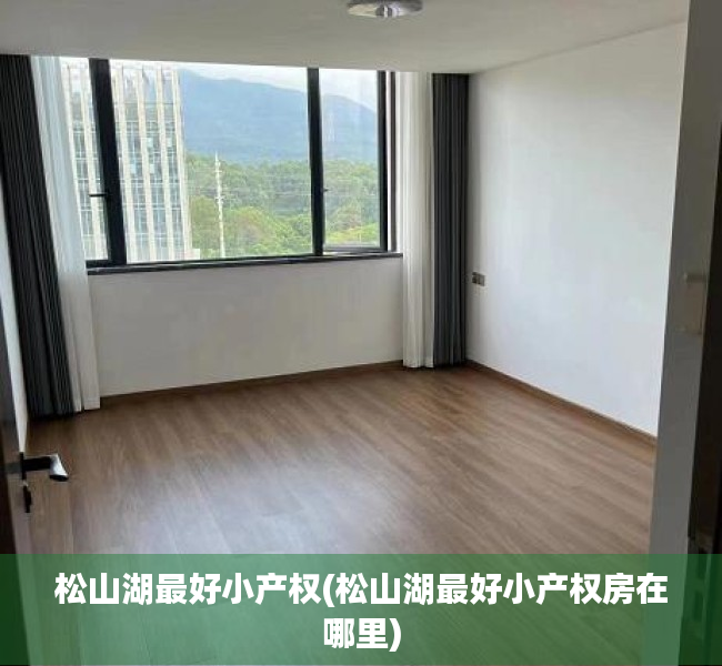 松山湖最好小产权(松山湖最好小产权房在哪里) 松山湖最好小产权(松山湖最好小产权房在哪里)