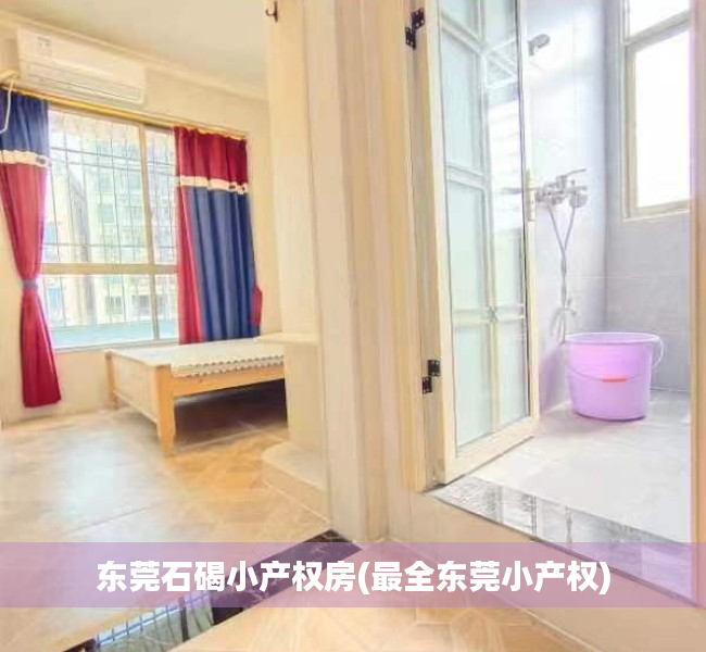东莞石碣小产权房(最全东莞小产权)
