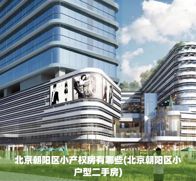 北京朝阳区小产权房有哪些(北京朝阳区小户型二手房) 北京朝阳区小产权房有哪些(北京朝阳区小户型二手房)