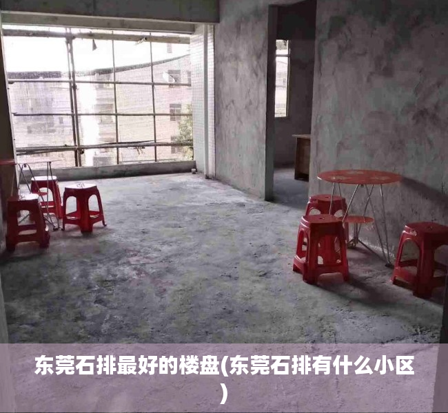 东莞石排最好的楼盘(东莞石排有什么小区)