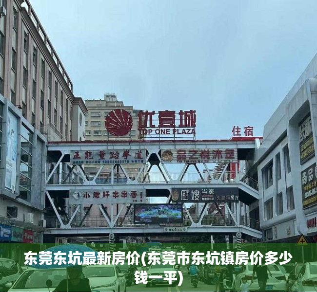东莞东坑最新房价(东莞市东坑镇房价多少钱一平)