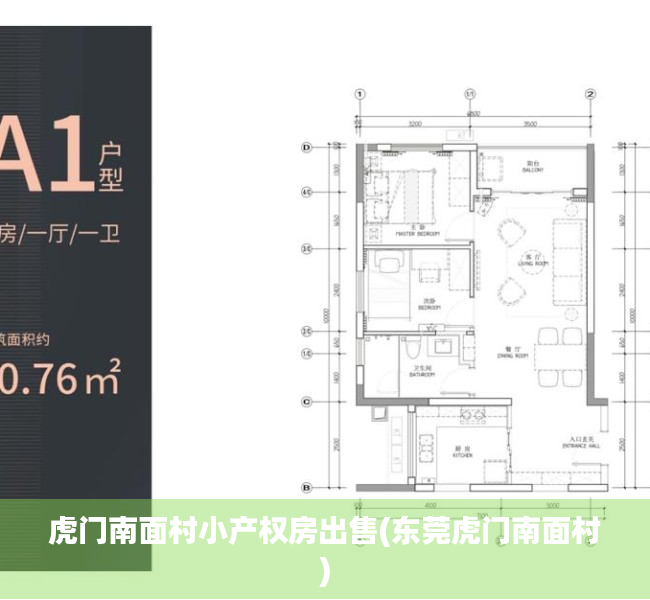 虎门南面村小产权房出售(东莞虎门南面村)