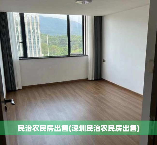 民治农民房出售(深圳民治农民房出售)