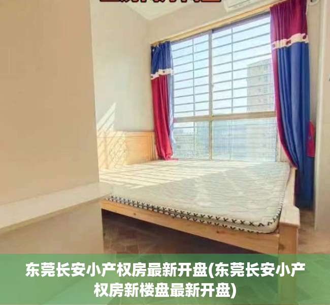 东莞长安小产权房最新开盘(东莞长安小产权房新楼盘最新开盘)