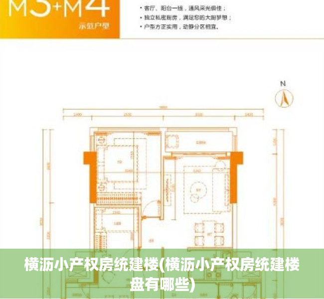 横沥小产权房统建楼(横沥小产权房统建楼盘有哪些)