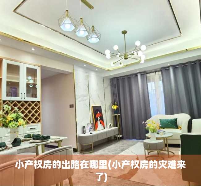 小产权房的出路在哪里(小产权房的灾难来了) 小产权房的出路在哪里(小产权房的灾难来了)