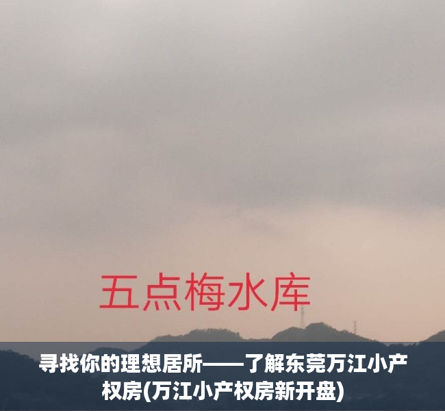 寻找你的理想居所——了解东莞万江小产权房(万江小产权房新开盘)