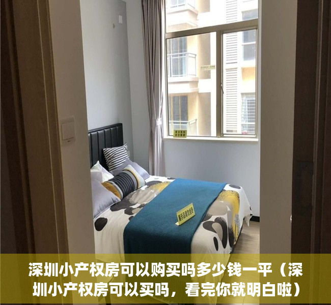 深圳小产权房可以购买吗多少钱一平（深圳小产权房可以买吗，看完你就明白啦）