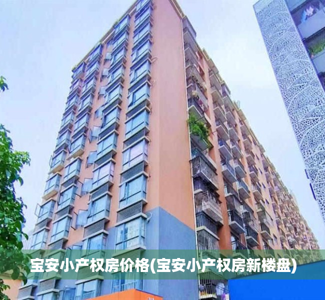 宝安小产权房价格(宝安小产权房新楼盘) 宝安小产权房价格(宝安小产权房新楼盘)