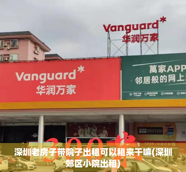 深圳老房子带院子出租可以租来干嘛(深圳郊区小院出租)