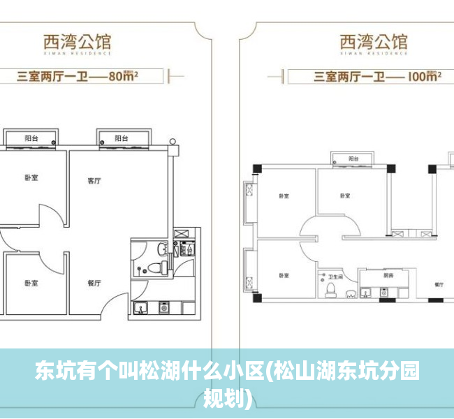 东坑有个叫松湖什么小区(松山湖东坑分园规划)