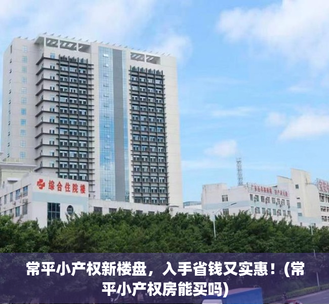 常平小产权新楼盘，入手省钱又实惠！(常平小产权房能买吗)