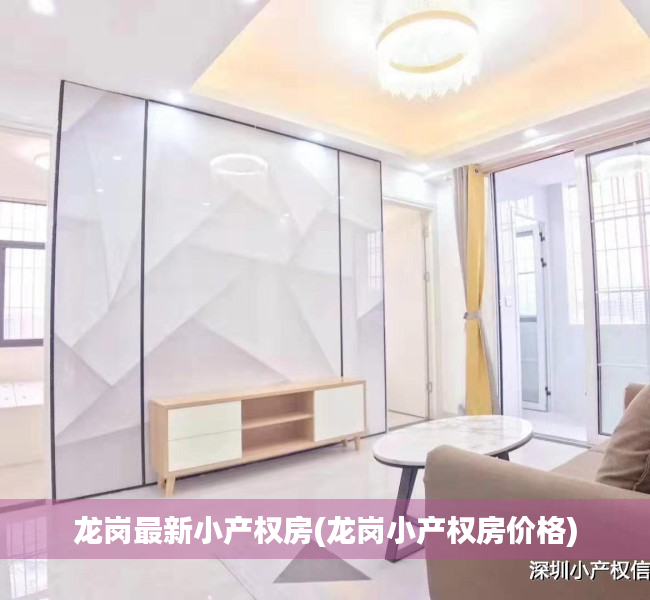 龙岗最新小产权房(龙岗小产权房价格)