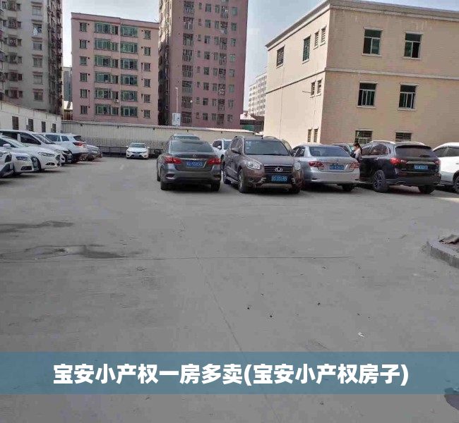 宝安小产权一房多卖(宝安小产权房子) 宝安小产权一房多卖(宝安小产权房子)
