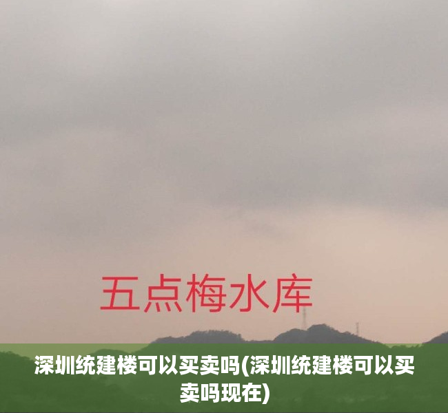深圳统建楼可以买卖吗(深圳统建楼可以买卖吗现在) 深圳统建楼可以买卖吗(深圳统建楼可以买卖吗现在)