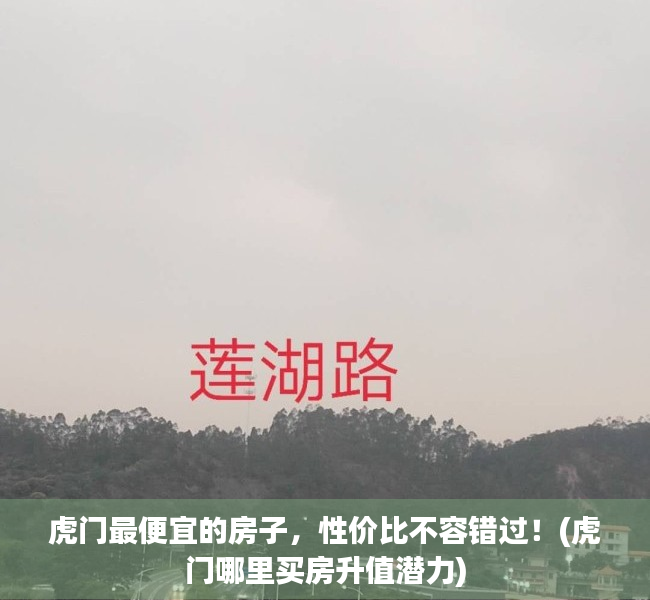 虎门最便宜的房子，性价比不容错过！(虎门哪里买房升值潜力)