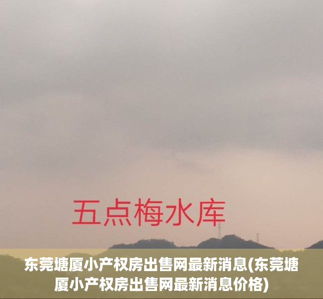 东莞塘厦小产权房出售网最新消息(东莞塘厦小产权房出售网最新消息价格) 东莞塘厦小产权房出售网最新消息(东莞塘厦小产权房出售网最新消息价格)