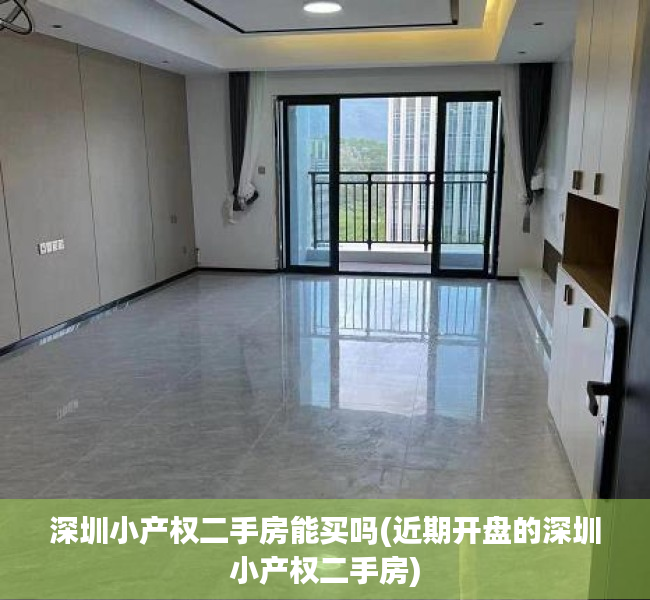 深圳小产权二手房能买吗(近期开盘的深圳小产权二手房) 深圳小产权二手房能买吗(近期开盘的深圳小产权二手房)