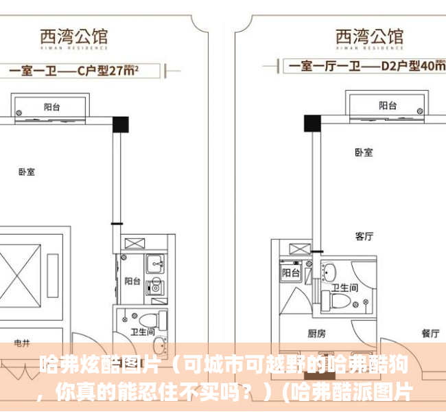 哈弗炫酷图片（可城市可越野的哈弗酷狗，你真的能忍住不买吗？）(哈弗酷派图片及报价)