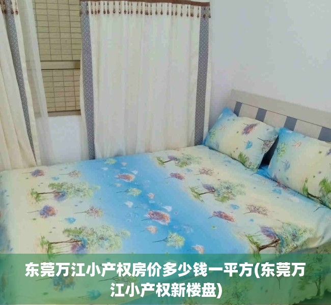 东莞万江小产权房价多少钱一平方(东莞万江小产权新楼盘) 东莞万江小产权房价多少钱一平方(东莞万江小产权新楼盘)