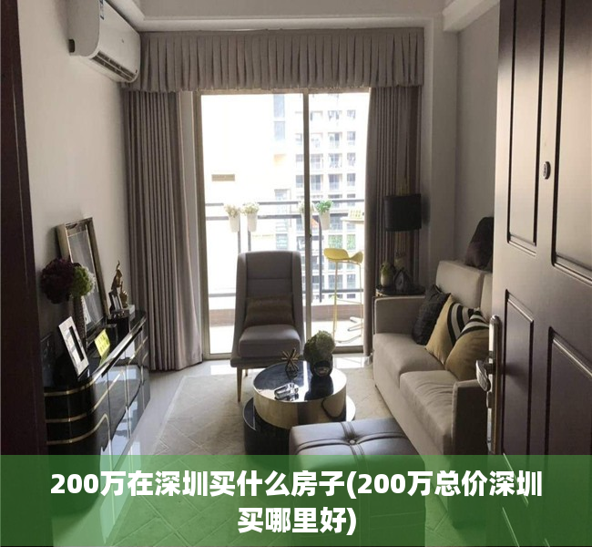 200万在深圳买什么房子(200万总价深圳买哪里好)