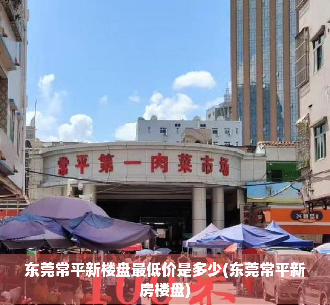 东莞常平新楼盘最低价是多少(东莞常平新房楼盘)