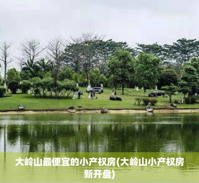 大岭山最便宜的小产权房(大岭山小产权房新开盘)