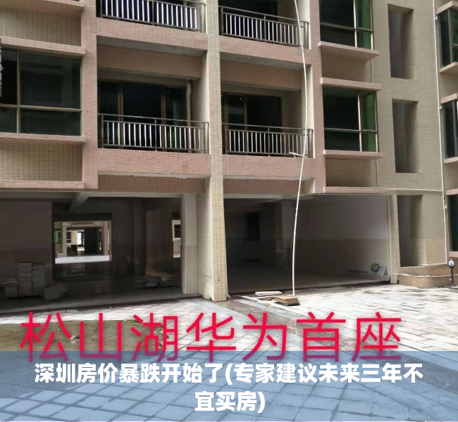 深圳房价暴跌开始了(专家建议未来三年不宜买房) 深圳房价暴跌开始了(专家建议未来三年不宜买房)