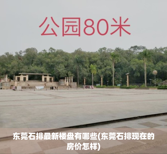 东莞石排最新楼盘有哪些(东莞石排现在的房价怎样) 东莞石排最新楼盘有哪些(东莞石排现在的房价怎样)