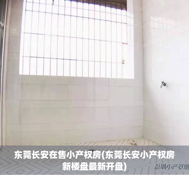 东莞长安在售小产权房(东莞长安小产权房新楼盘最新开盘) 东莞长安在售小产权房(东莞长安小产权房新楼盘最新开盘)