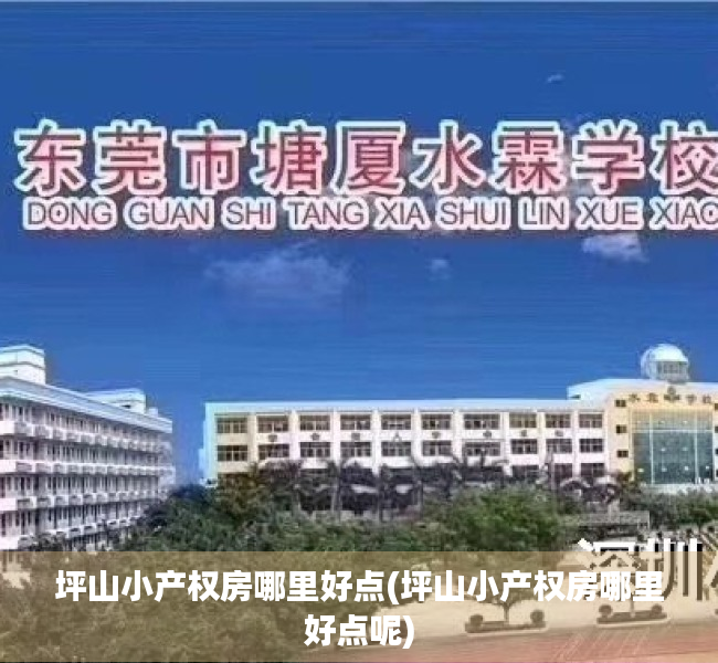 坪山小产权房哪里好点(坪山小产权房哪里好点呢) 坪山小产权房哪里好点(坪山小产权房哪里好点呢)