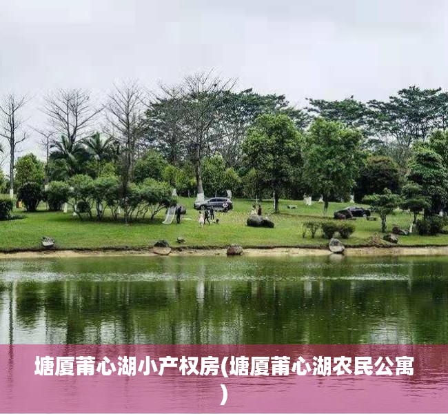塘厦莆心湖小产权房(塘厦莆心湖农民公寓) 塘厦莆心湖小产权房(塘厦莆心湖农民公寓)